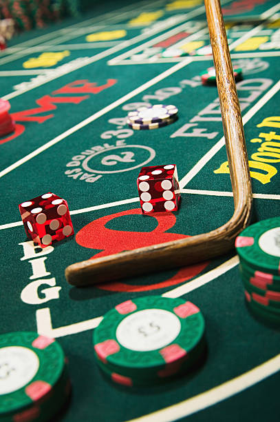 Live dealer studio setup for The Dog House games on empiretoto login